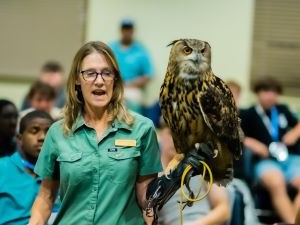 Speaker with falcon