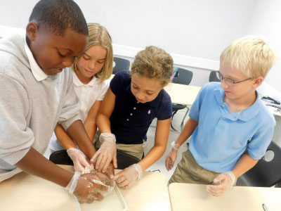 Students examine a heart on the Medicine pathway at NYLF Pathways to STEM